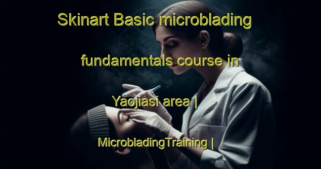 Skinart Basic microblading fundamentals course in Yaojiasi area | MicrobladingTraining | MicrobladingClasses | SkinartTraining-China